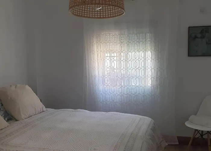 Bonito Apartamento En El Casco Antiguo