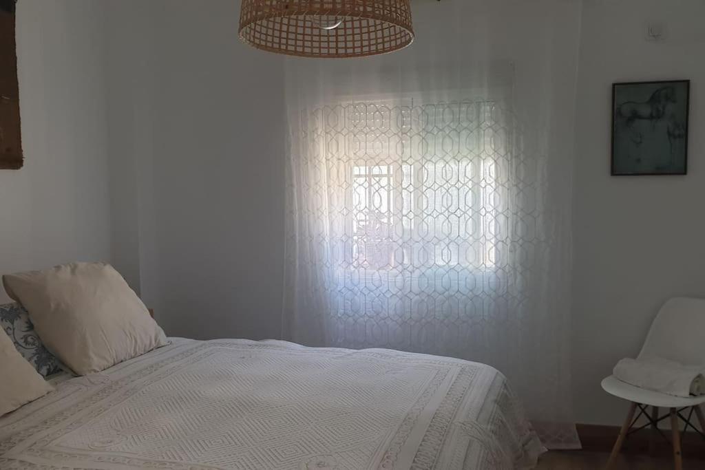 Bonito En El Casco Antiguo Apartment Jaen